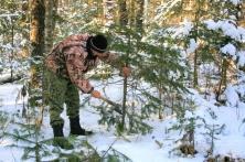 Бережете лес - бережете свой бюджет Район Архангельский 1_2__20179301120.jpg